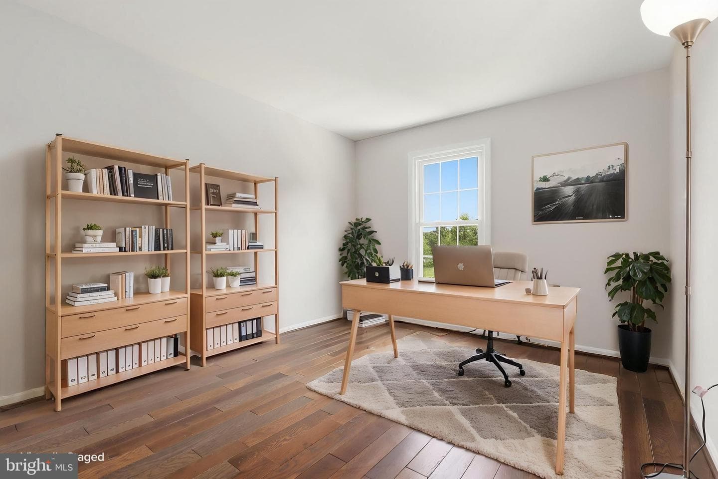 12917 Alderleaf Drive photo 18