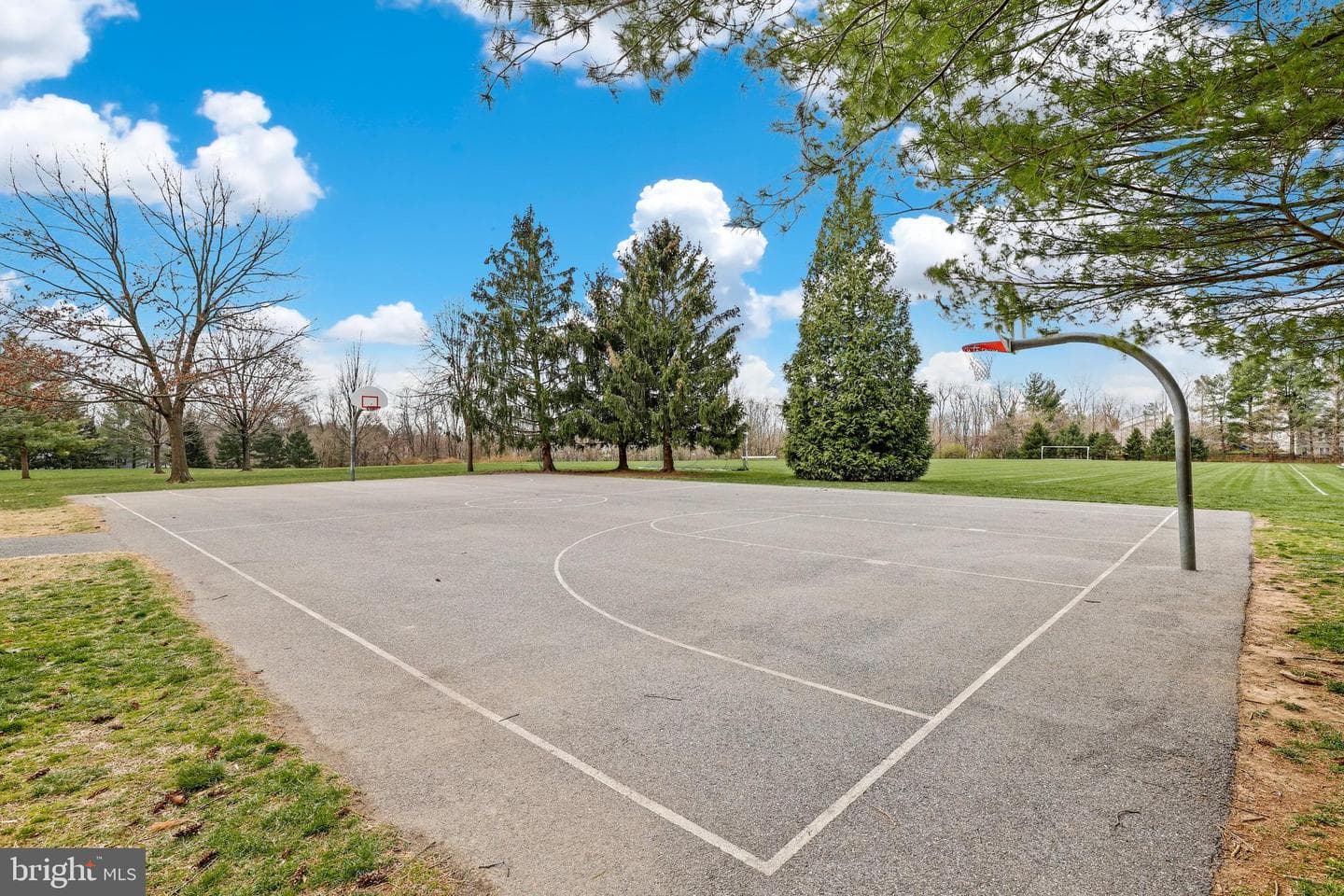 12917 Alderleaf Drive photo 43