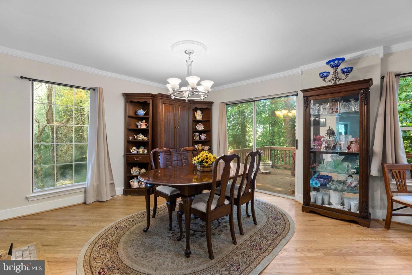 1647 Hugo Circle photo 9