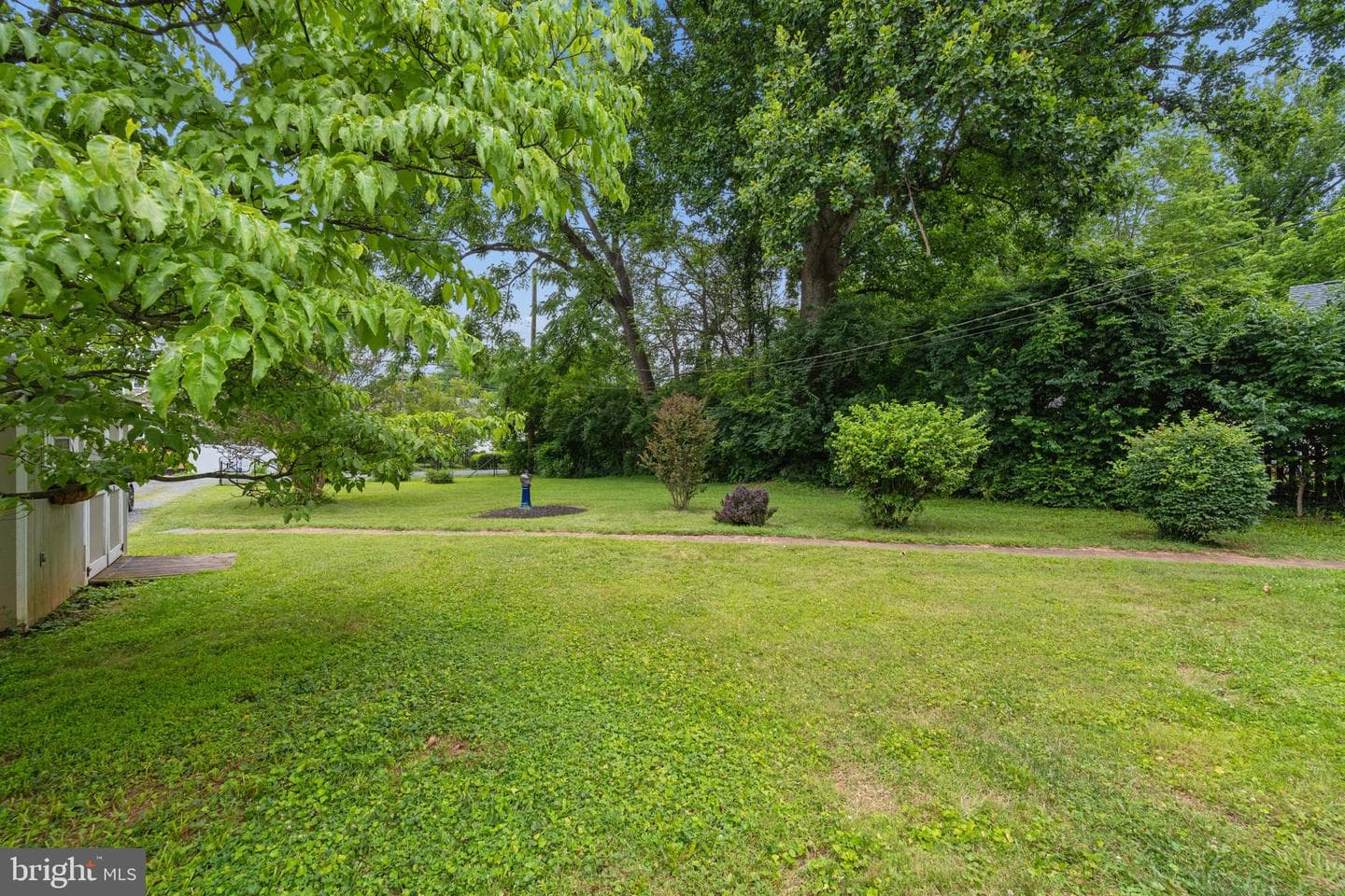 124 Chestnut Avenue photo 53