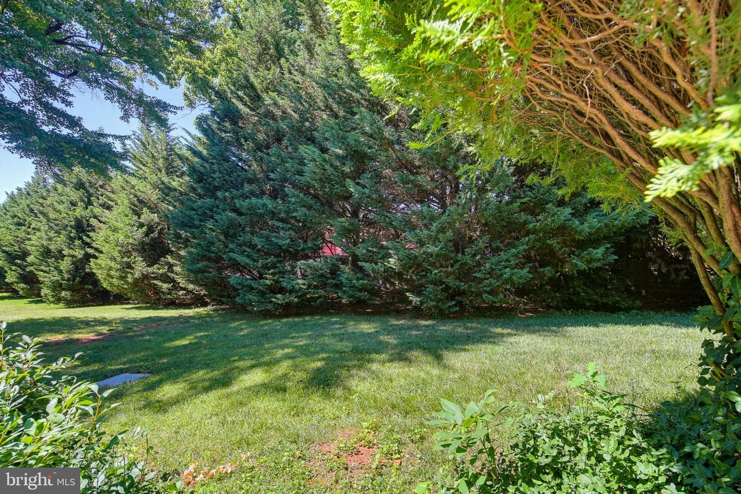 7103 Mill Run Drive #17-4 photo 28