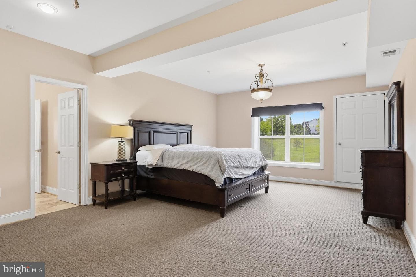 9010 Damascus Hills Ln photo 19
