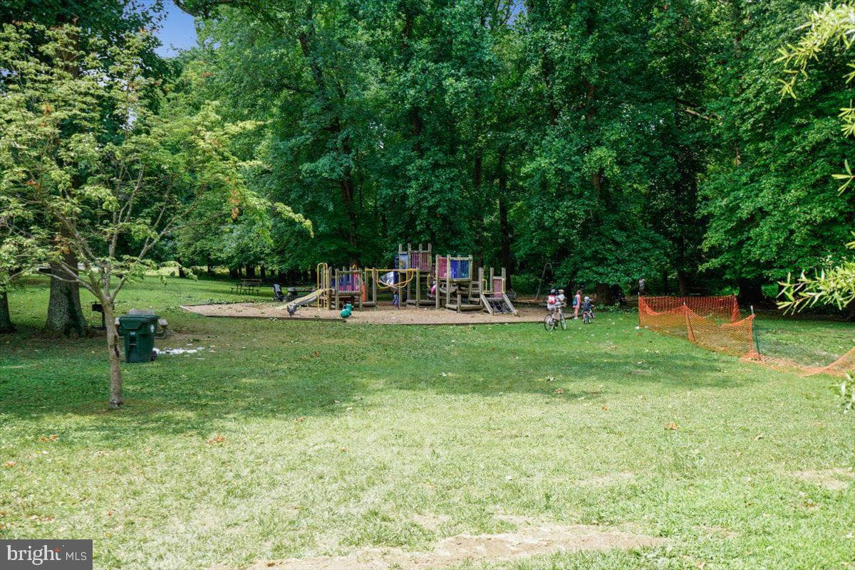 9817 Cherry Tree Lane photo 63