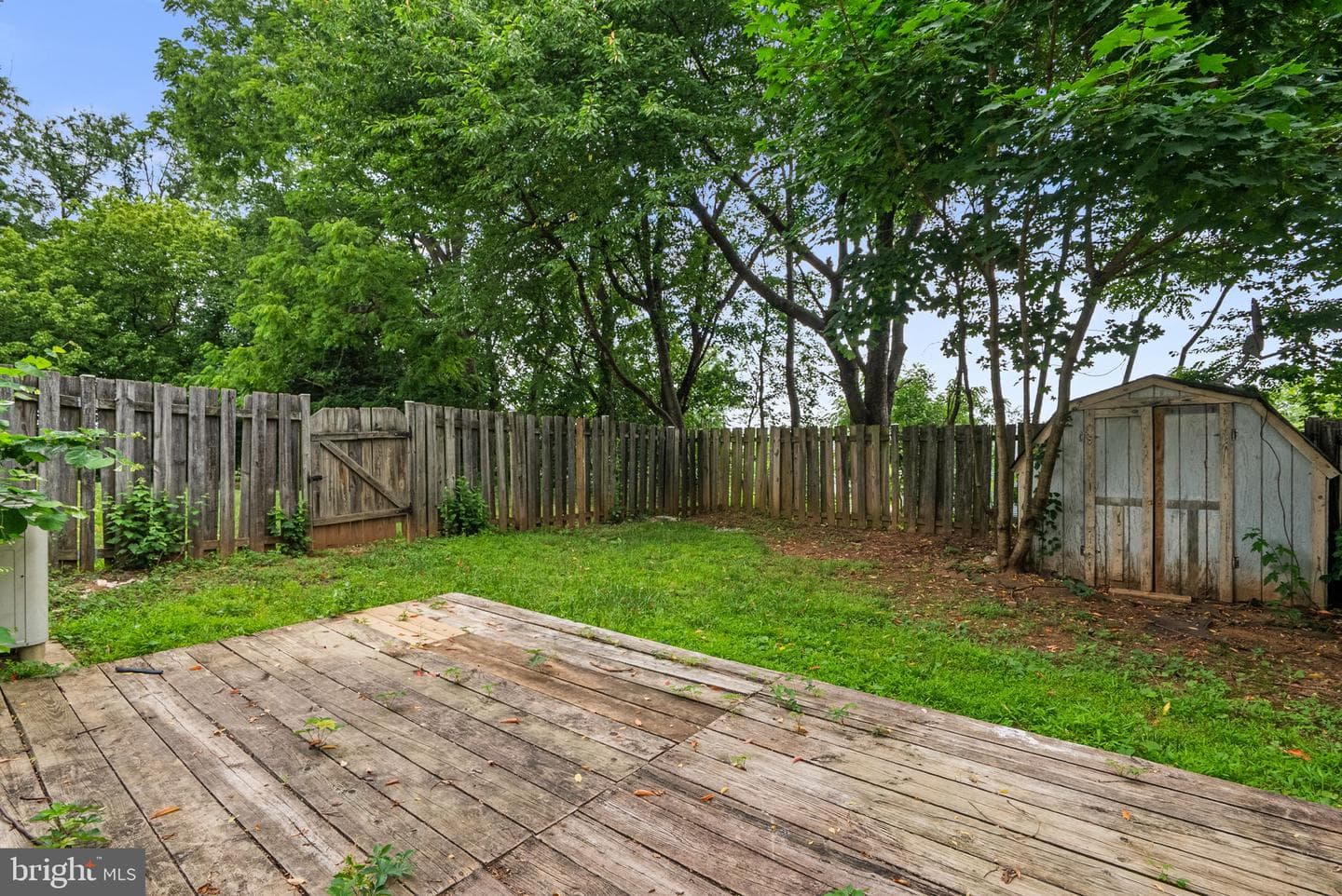 25637 Coltrane Drive photo 24