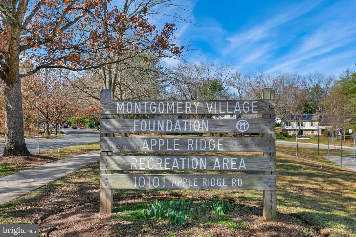 18948 Montgomery Village Avenue photo 40
