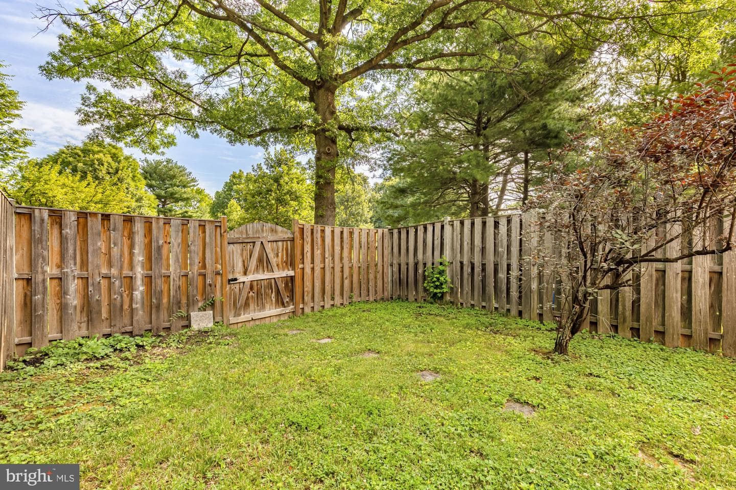 14312 Bald Hill Court photo 19