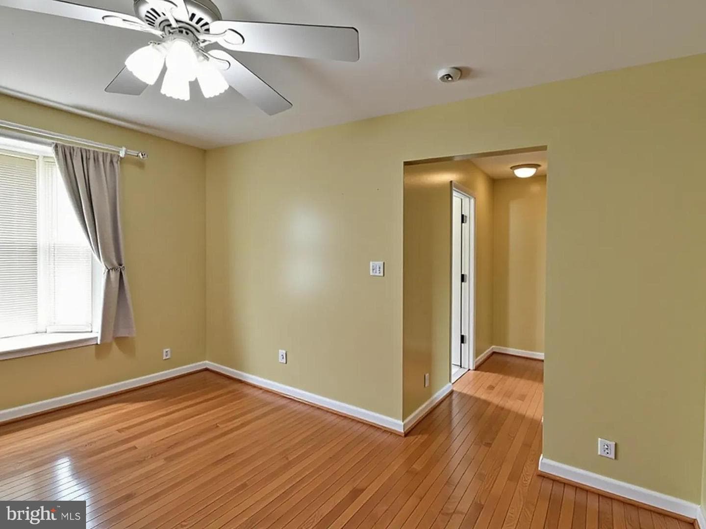 1201 Schindler Drive photo 14
