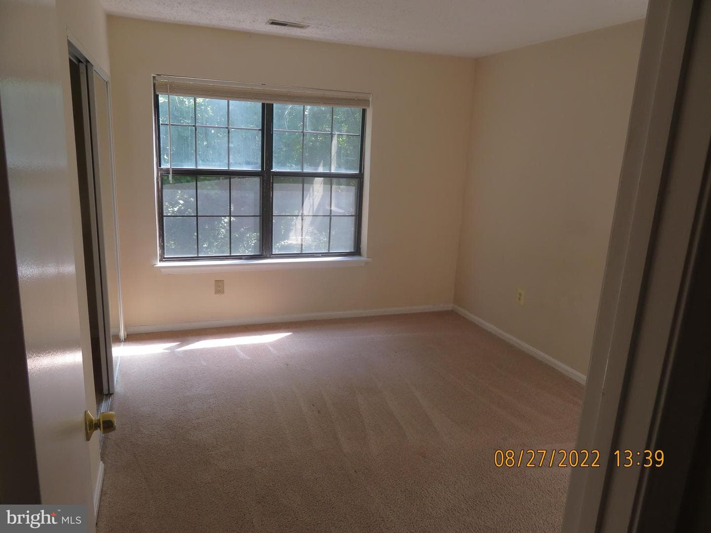 Md photo 9