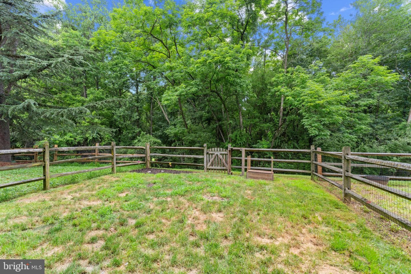 20418 Shadow Oak Court photo 49