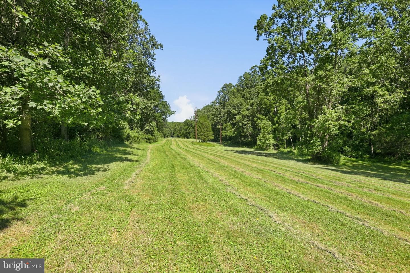 12340 Kingsley Road photo 10