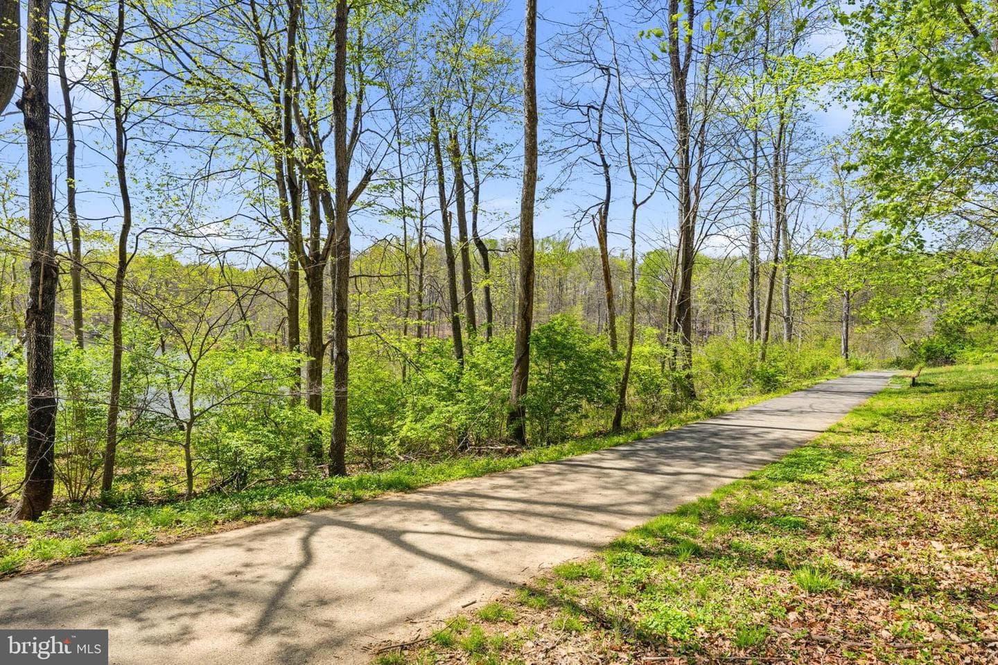 20605 Hazelnut Court photo 67
