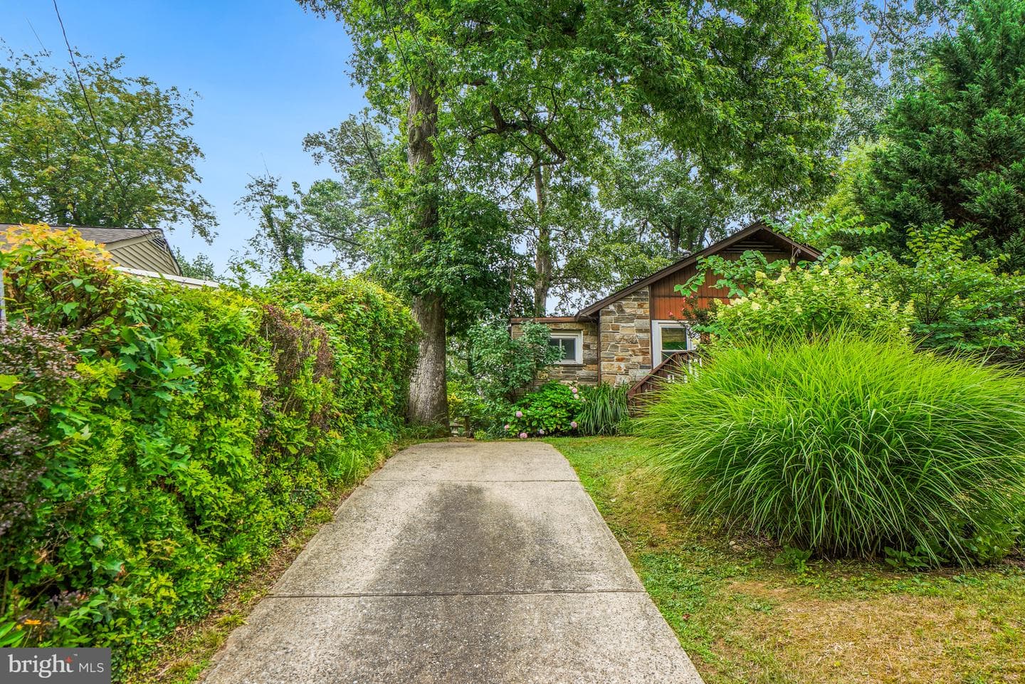1217 Edmonston photo 5