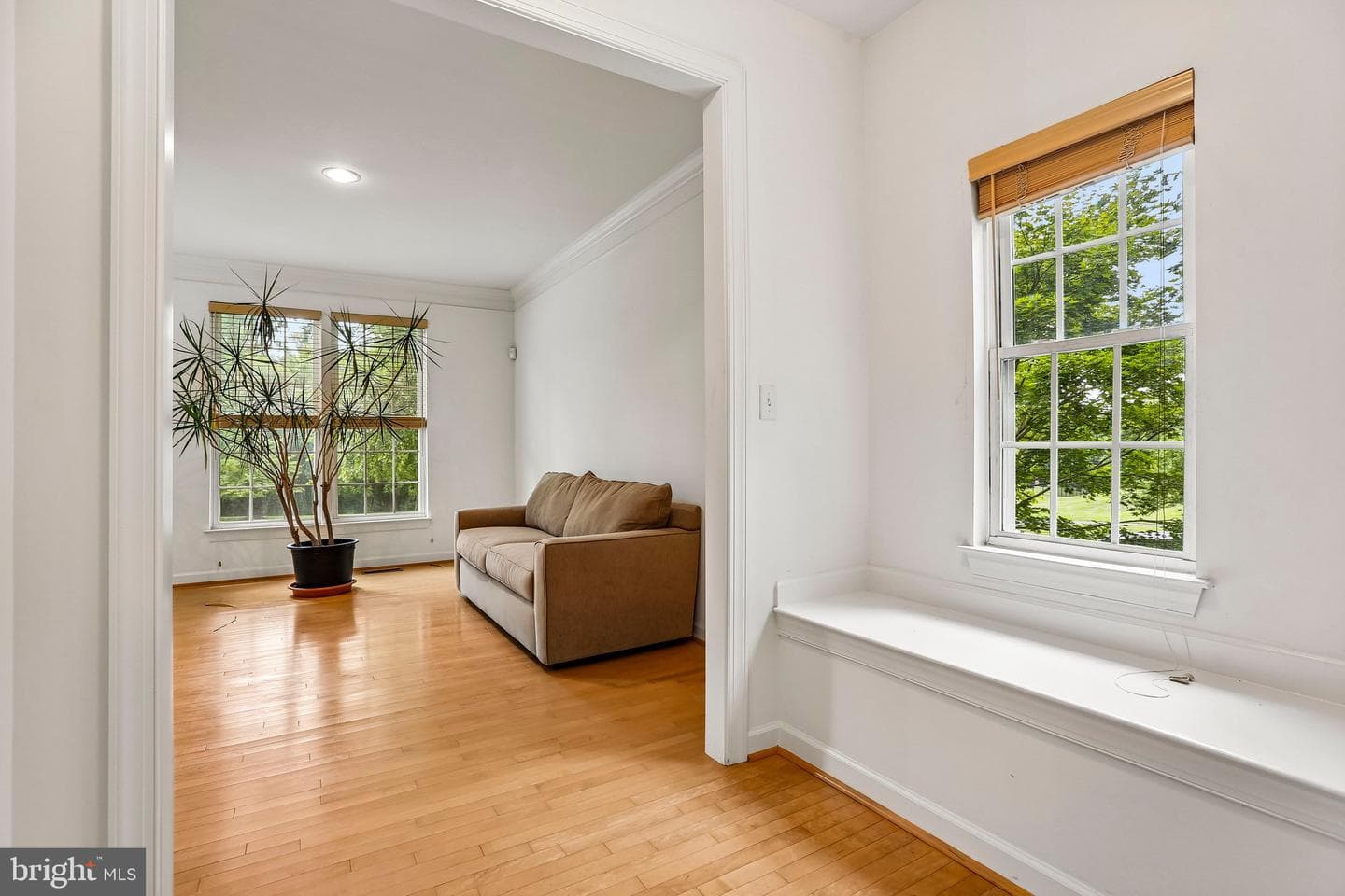 3006 Novak Terrace photo 31