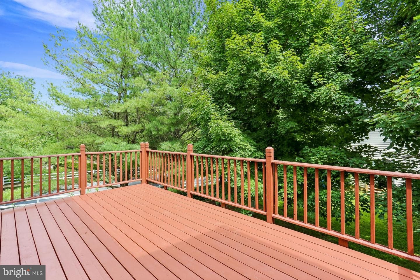 18713 Little Star Lane photo 9