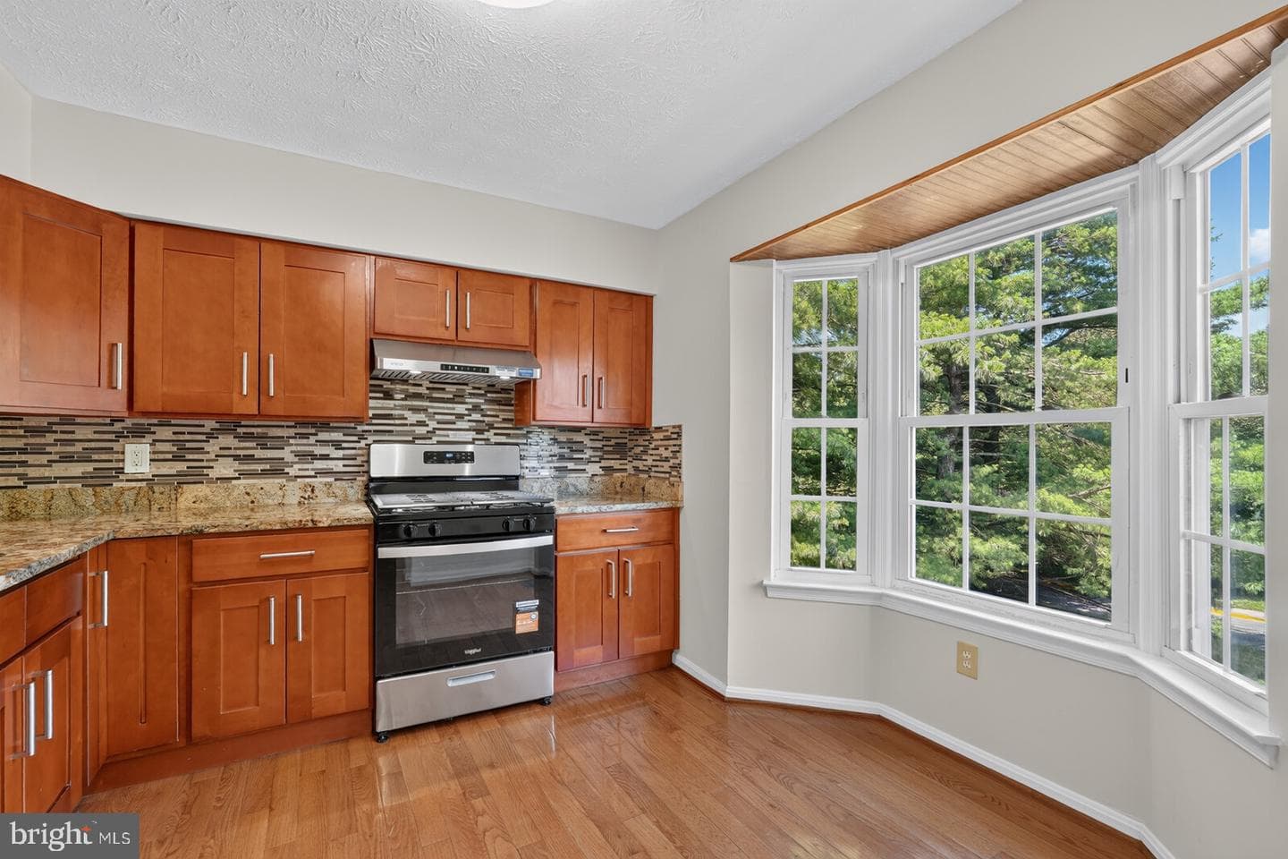 19501 White Saddle Drive photo 17