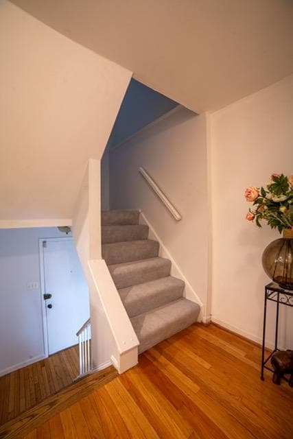 11652 Bedford Court photo 12