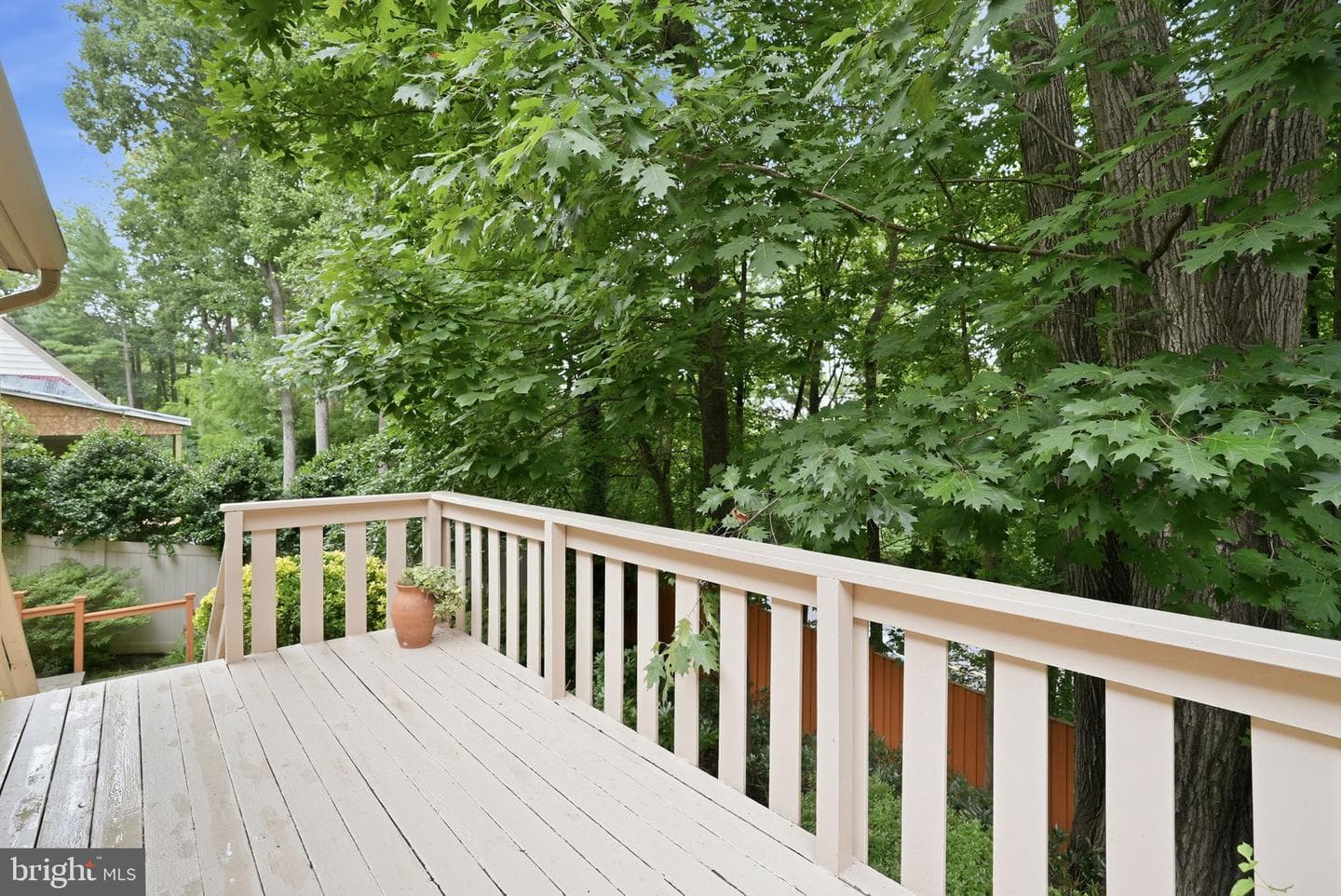 11213 Angus Place photo 35
