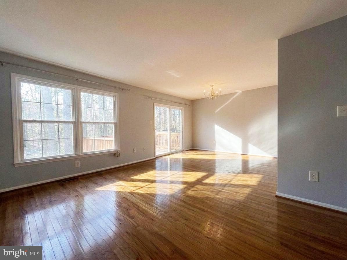 1103 Wildpark Avenue photo 4