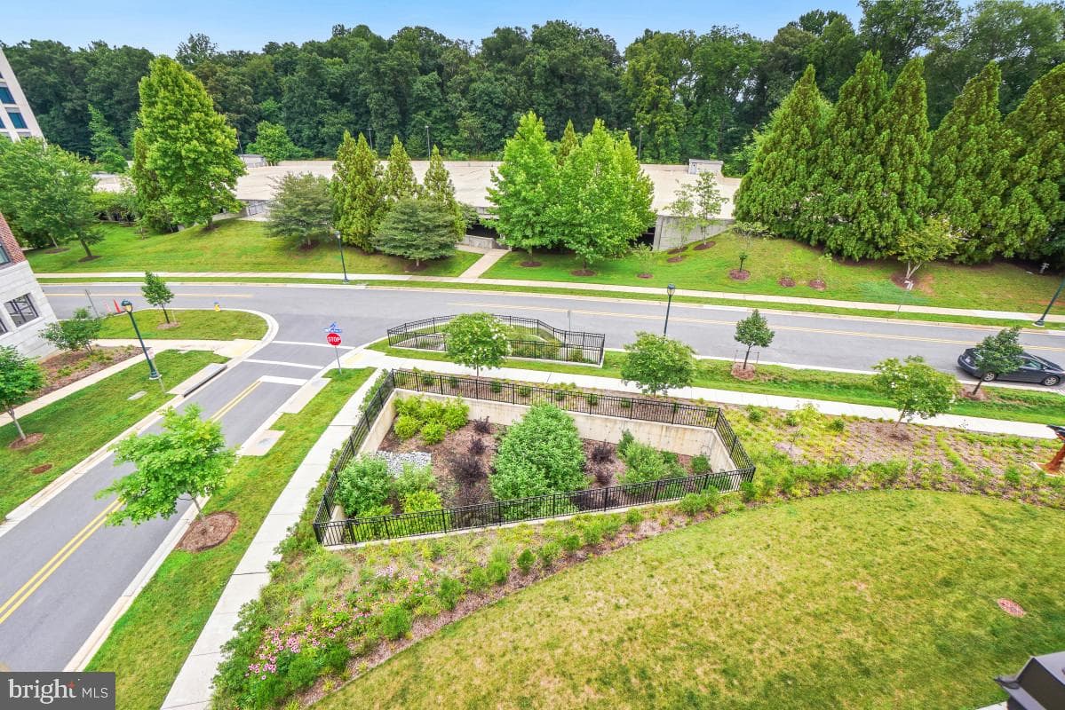 3104 Royal Fern Place photo 29