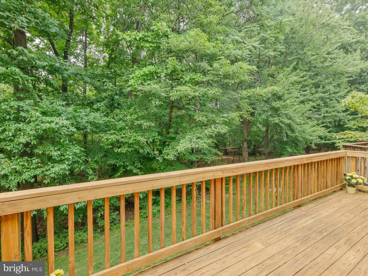 13002 Woodcutter Circle #159 photo 36