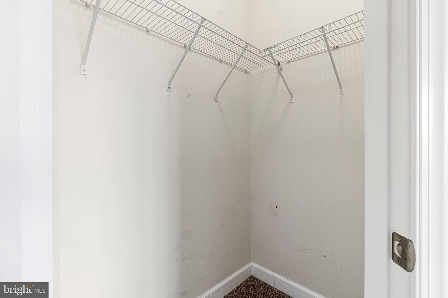11718 Leesborough Circle photo 36