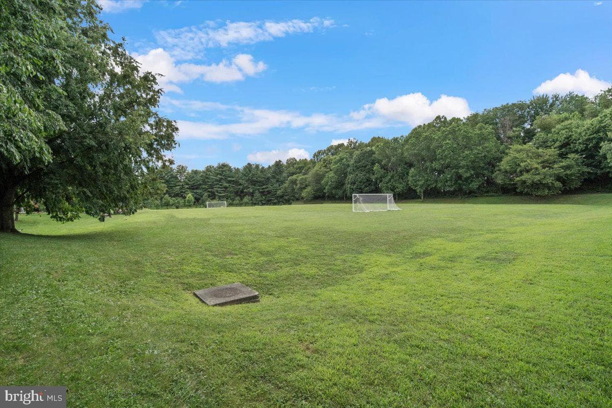 7117 Copperwood Court photo 53