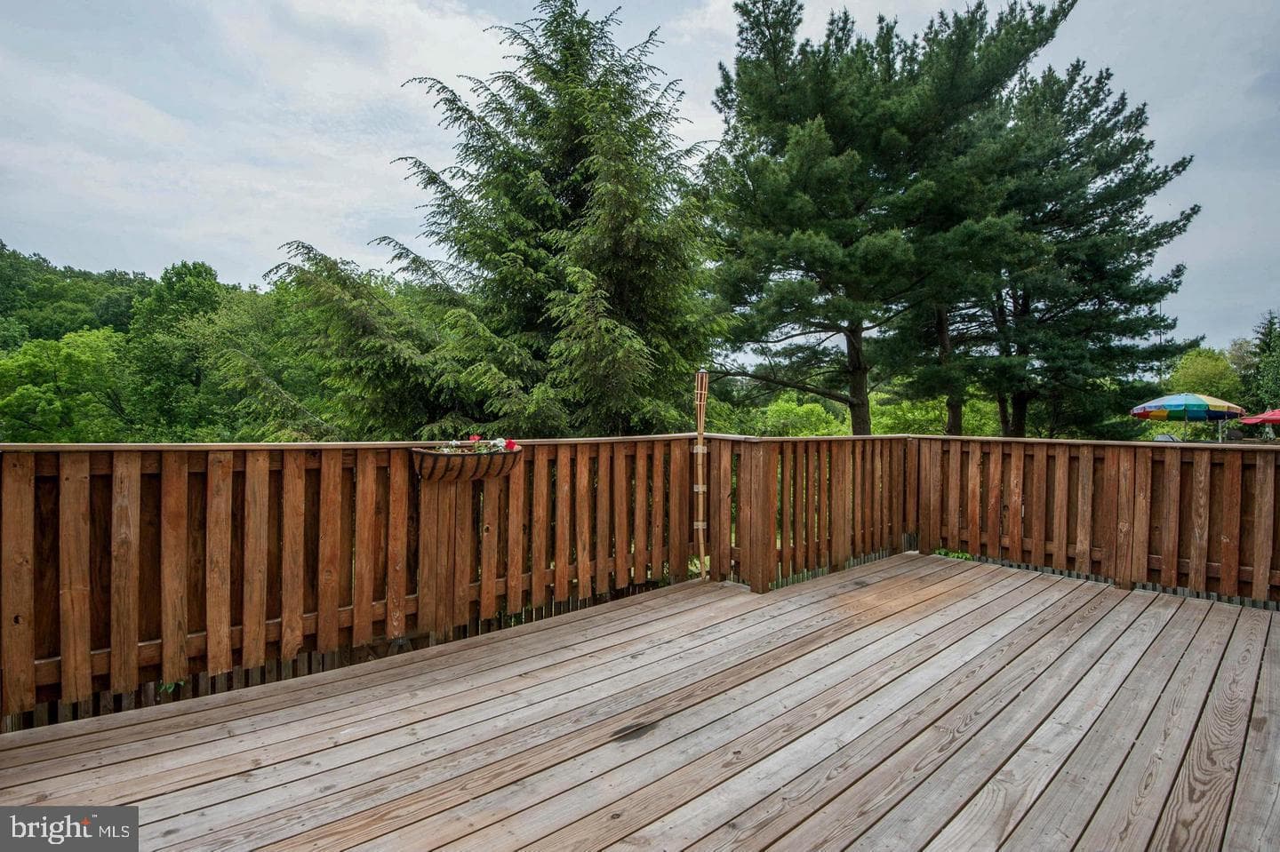 79 Bralan photo 26