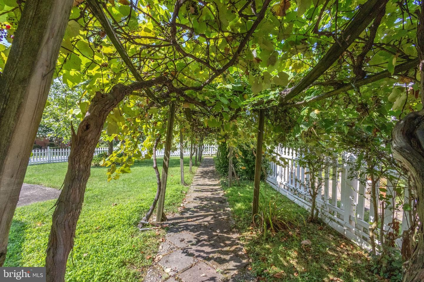 10313 Conover Drive photo 7