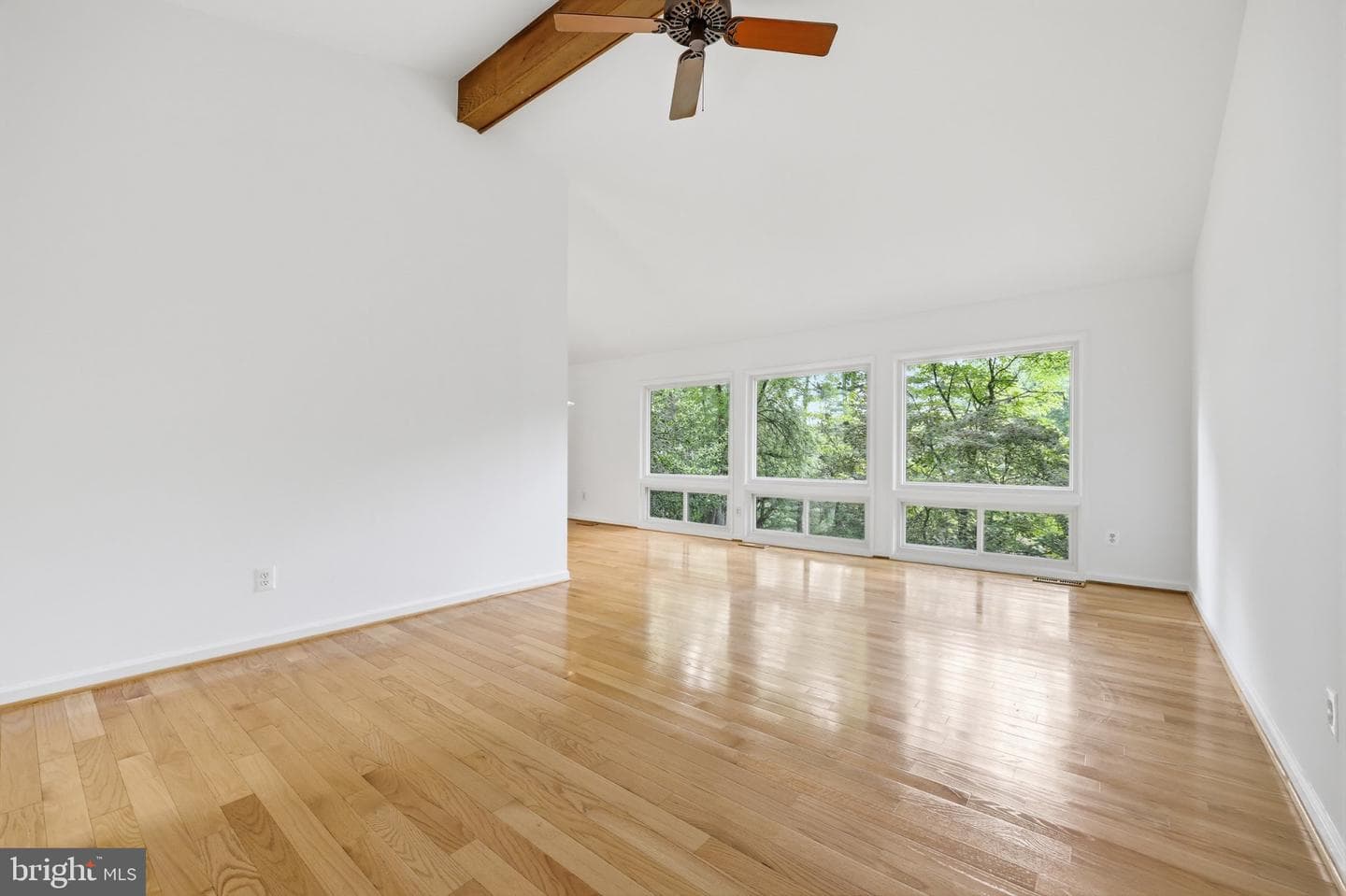 11501 Brandy Hall Lane photo 8