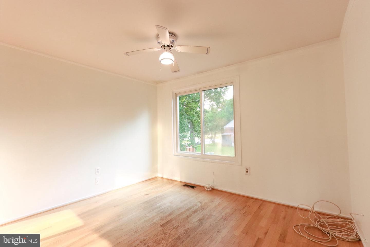 10704 Lester Street photo 20