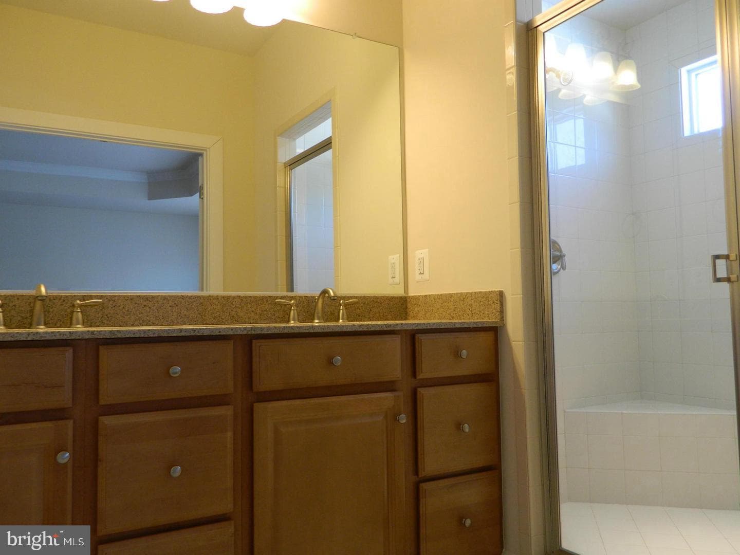 10123 Wootton Crest Way photo 13