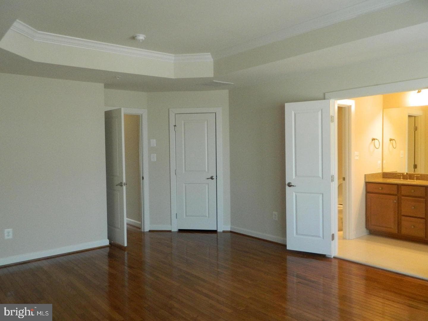 10123 Wootton Crest Way photo 16