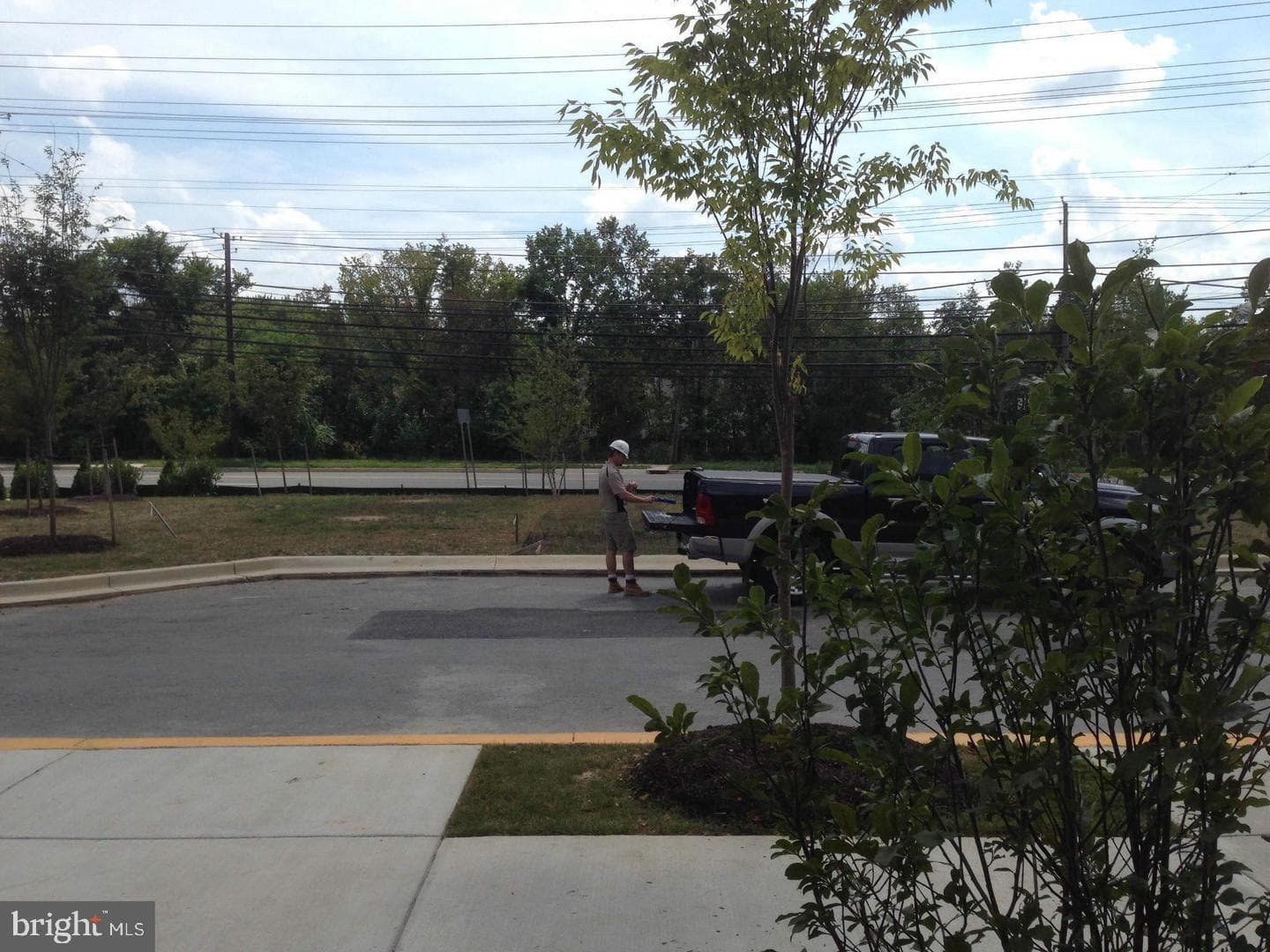 10123 Wootton Crest Way photo 23