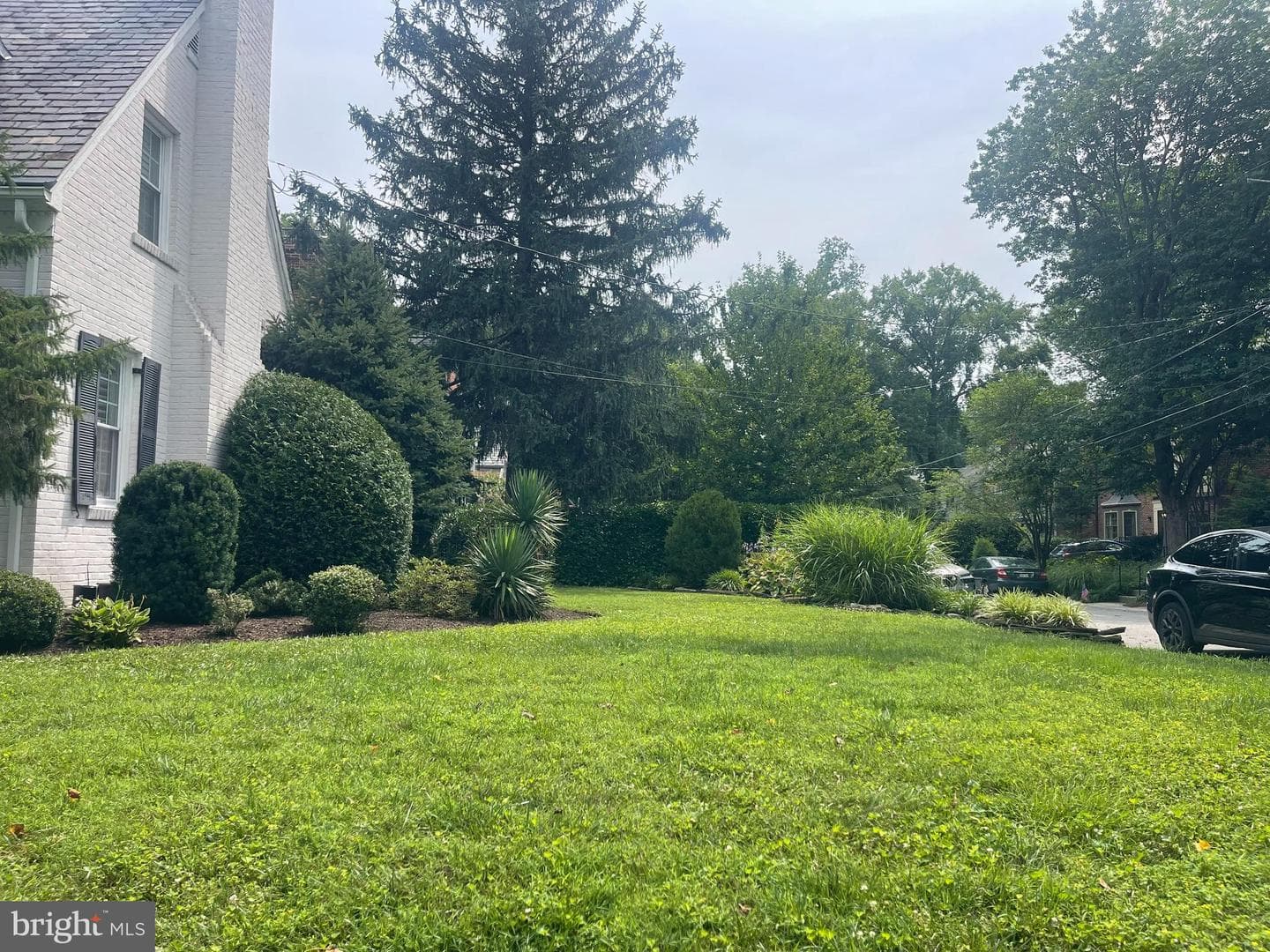8201 Larry Place photo 29