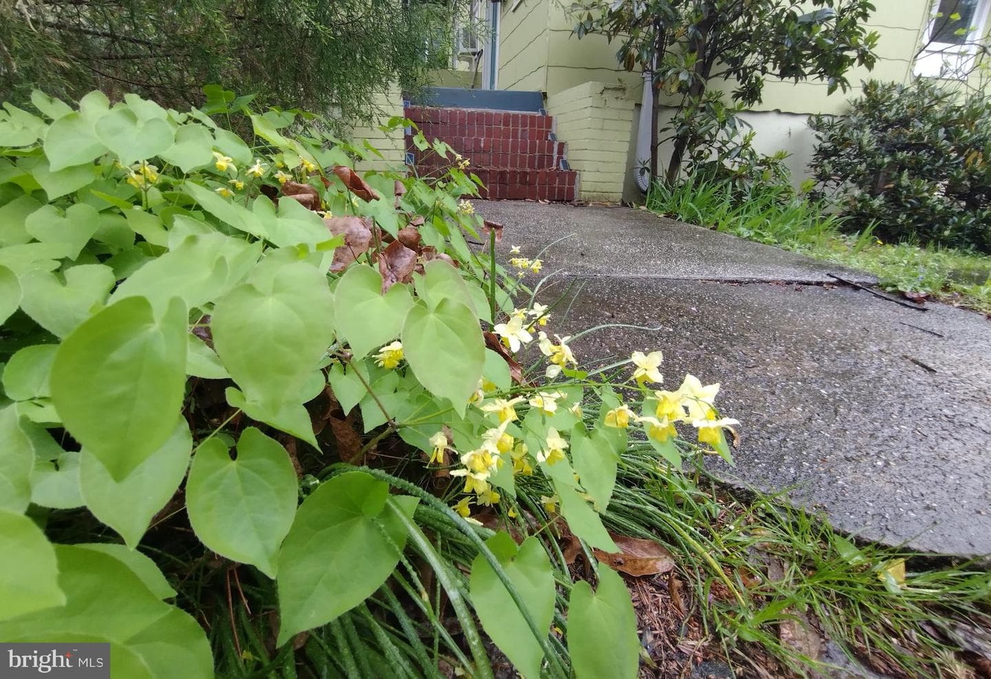 301 Elm Avenue photo 45