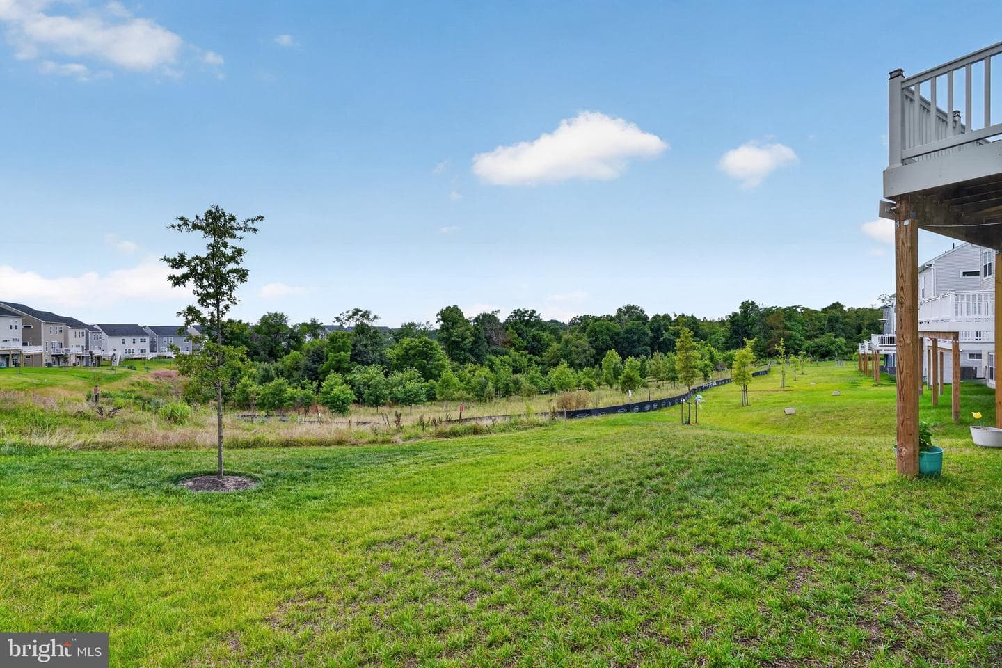 14506 Dowitcher Way photo 33