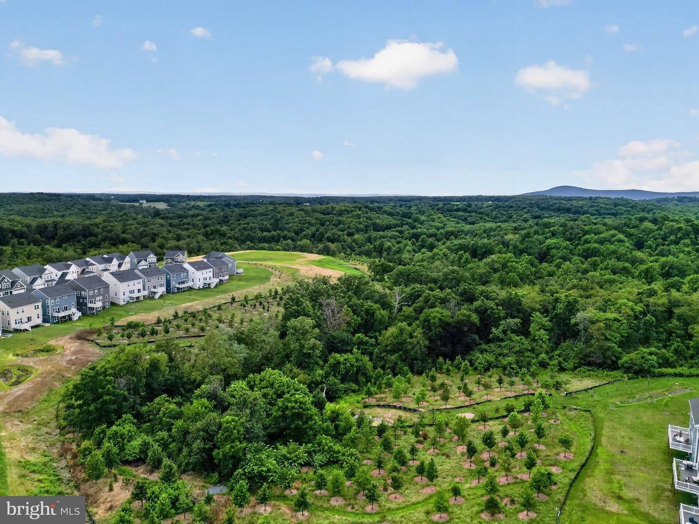 14506 Dowitcher Way photo 51