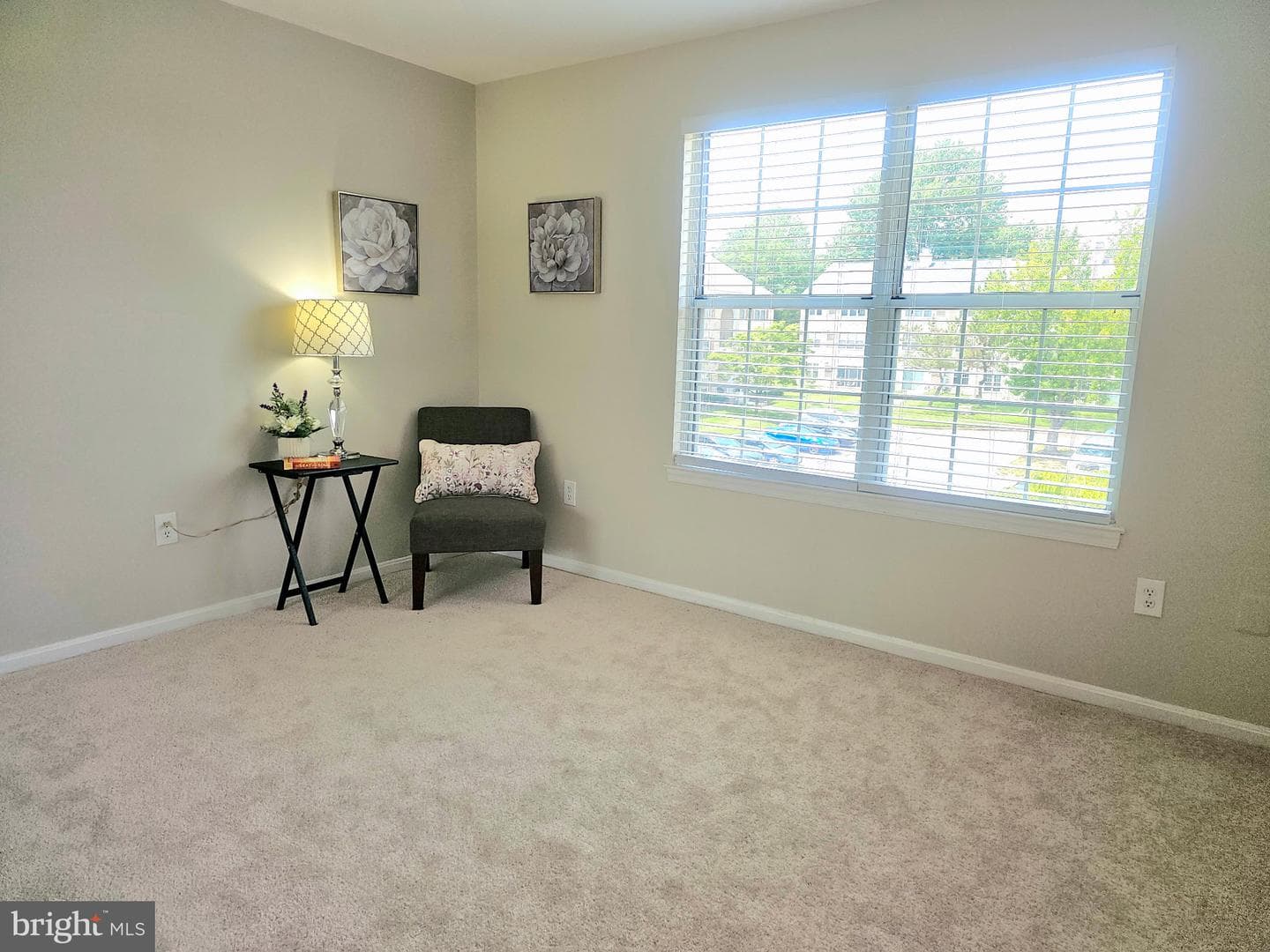 14913 Cleese Court #4af photo 12