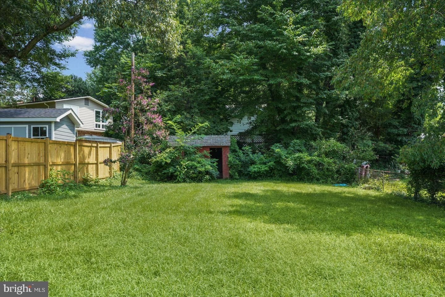 11305 Mapleview Drive photo 45