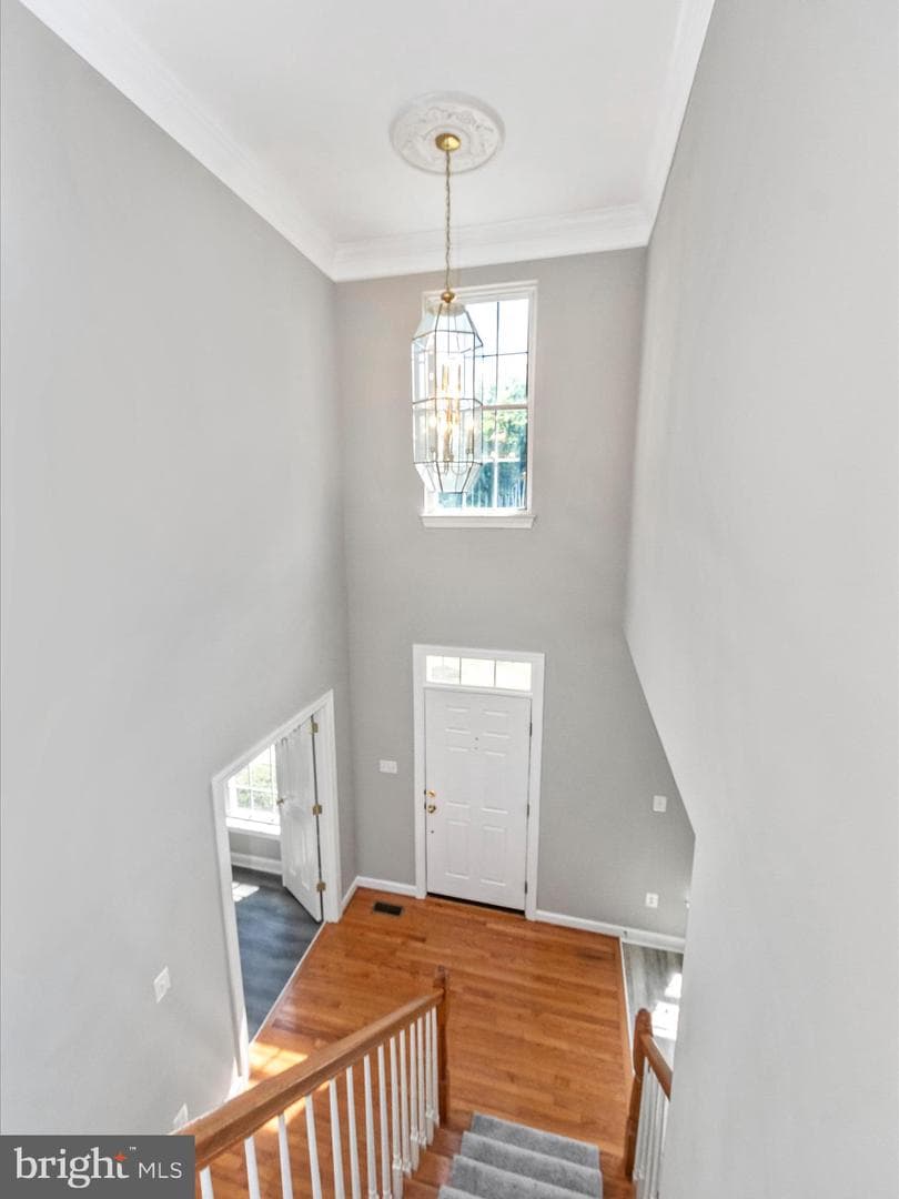 15310 Lions Den Road photo 10