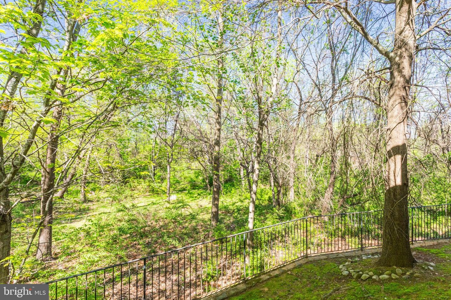 400 Long Trail Terrace photo 54