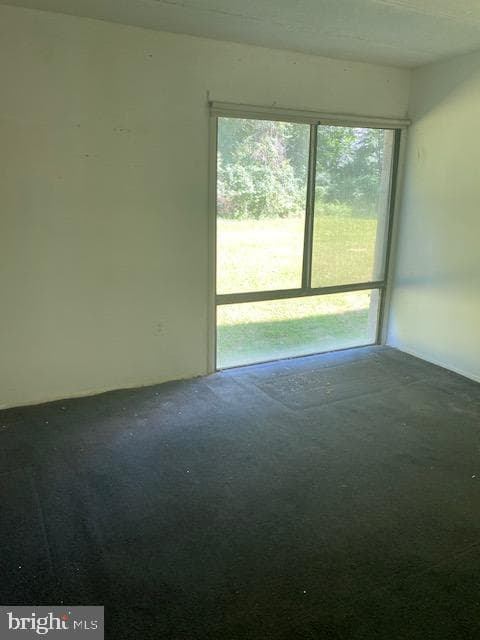 3301 Hewitt Avenue #103 photo 7