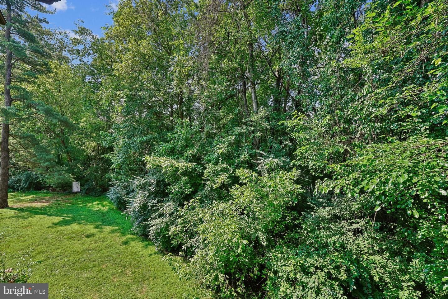 9910 Walker House Road #4 photo 51