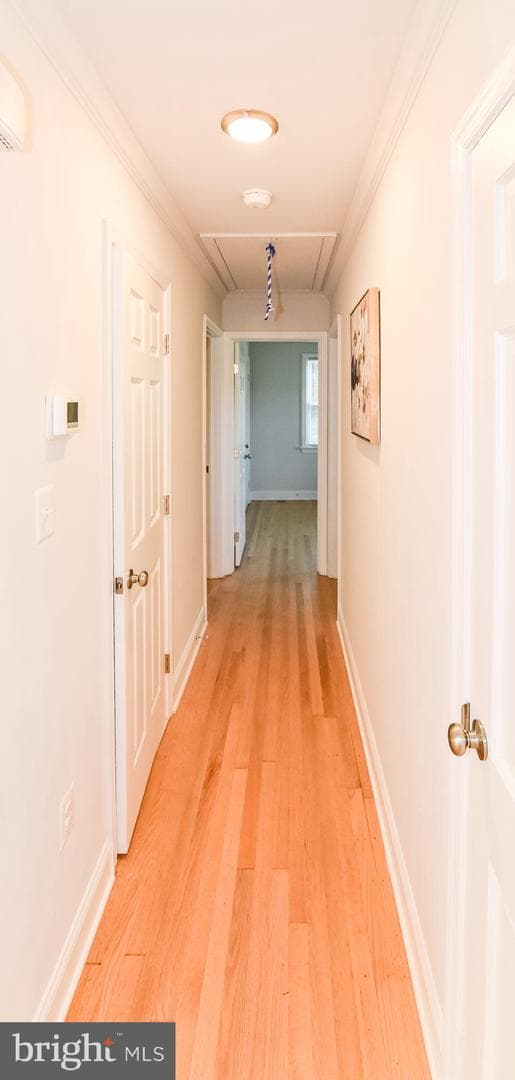 1804 Briggs Chaney Road photo 11