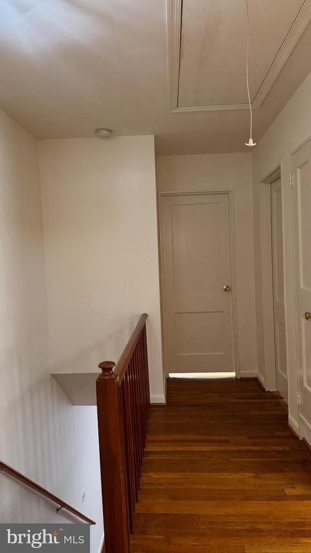 3204 Henderson Avenue photo 23