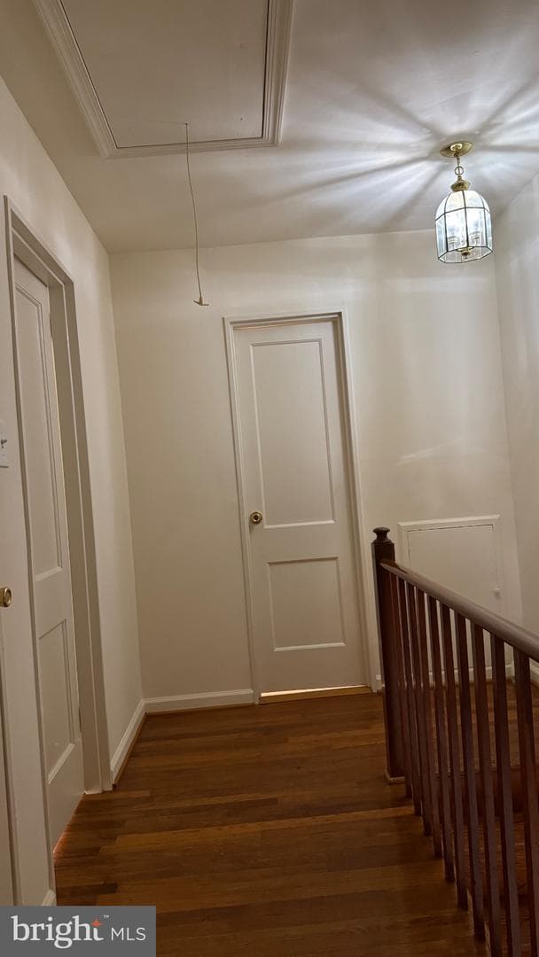 3204 Henderson Avenue photo 24