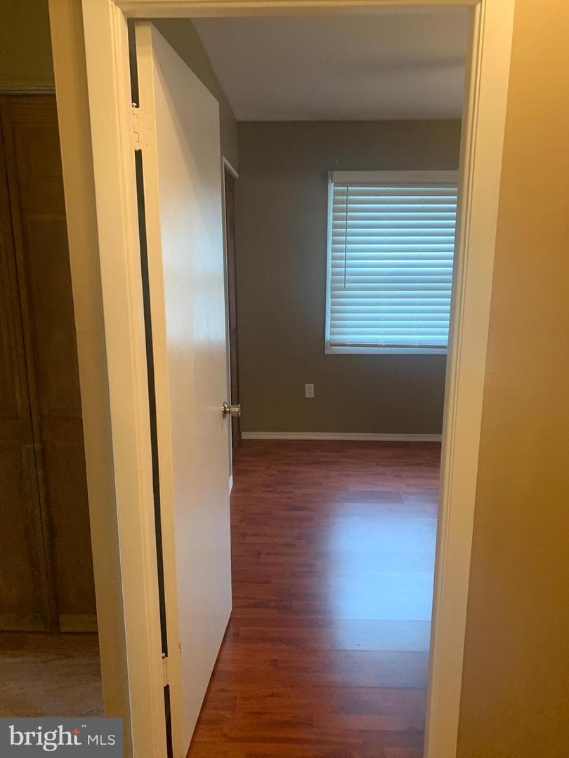2711 Kirk Lane photo 102