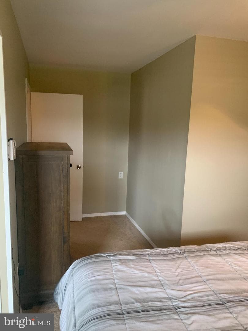 2711 Kirk Lane photo 111