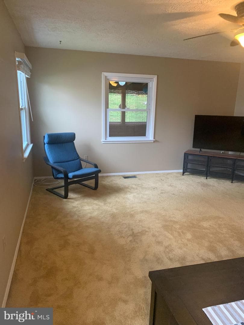 2711 Kirk Lane photo 41