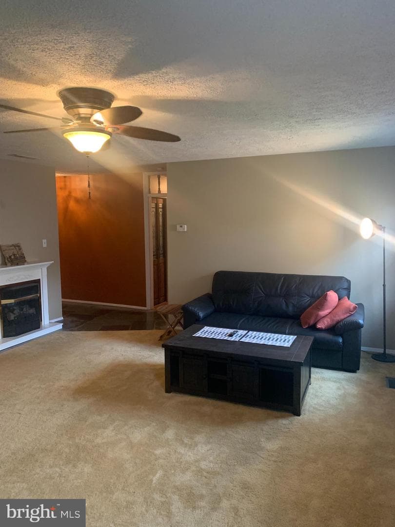 2711 Kirk Lane photo 44